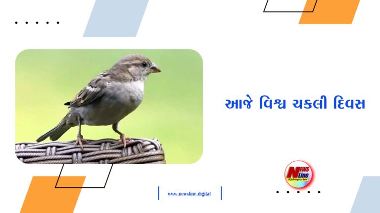 આજે વિશ્વ ચકલી દિવસ આજે વિશ્વ ચકલી દિવસ