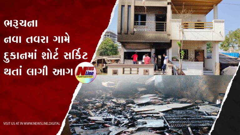 ભરૂચના નવા તવરા ગામે દુકાનમાં શોર્ટ સર્કિટ થતાં લાગી આગ ભરૂચના નવા તવરા ગામે દુકાનમાં શોર્ટ સર્કિટ થતાં લાગી આગ
