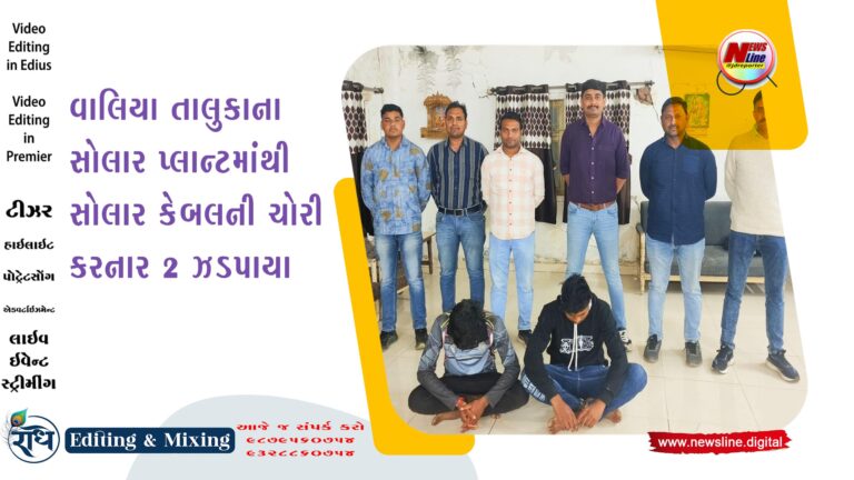 વાલિયા તાલુકાના સોલાર પ્લાન્ટમાંથી સોલાર કેબલની ચોરી કરનાર 2 ઝડપાયા