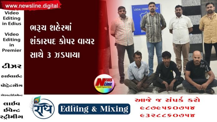 NewslineBANNER 2025 - with advtNEW Radhe copy