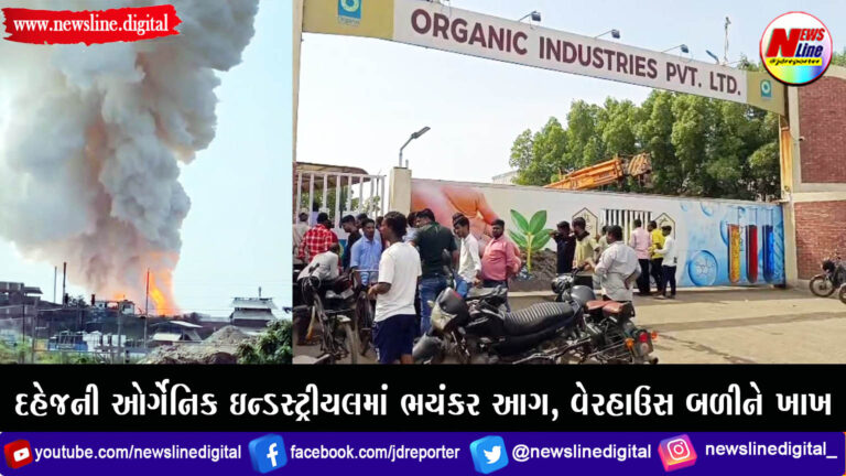 દહેજની ઓર્ગેનિક ઇન્ડસ્ટ્રીયલમાં ભયંકર આગ, વેરહાઉસ બળીને ખાખ