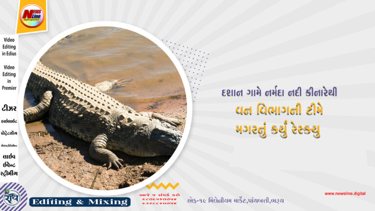 દશાન ગામે નર્મદા નદી કીનારેથી વન વિભાગની ટીમે મગરનું કર્યું રેસ્ક્યુ