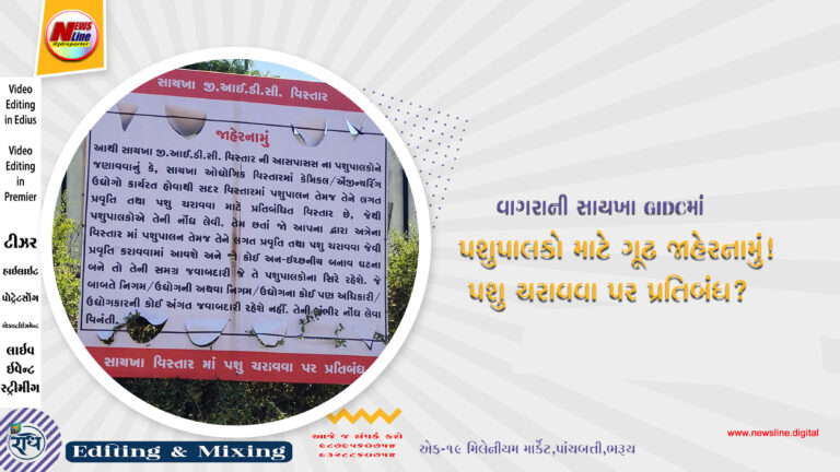 વાગરાની સાયખા GIDCમાં પશુપાલકો માટે ગૂઢ જાહેરનામું!પશુ ચરાવવા પર પ્રતિબંધ?