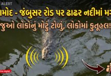 આમોદ-જંબુસર રોડ નજીક ઢાઢર નદીમાં મગર જોવા મળતા લોકોમાં કુતૂહલ!