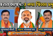 ભાજપે જાહેર કરી નવી ટીમ, ત્રણ જિલ્લામાં નવા પ્રમુખ