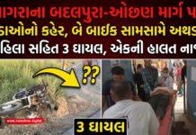 વાગરાના બદલપુરા-ઓછણ માર્ગ પર ખાડાઓ, બે બાઇક સામસામે અથડાતાં 2 મહિલા સહિત 3 ઘાયલ