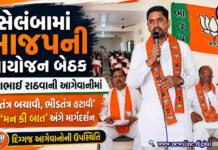સેલંબા ખાતે મુકેશભાઈ રાઠવાની આગેવાનીમાં ભાજપની આયોજન બેઠક યોજાઈ