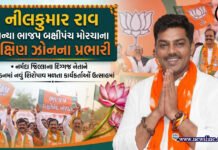 નીલકુમાર રાવ બન્યા ભાજપ બક્ષીપંચ મોરચાના દક્ષિણ ઝોનના પ્રભારી