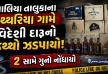 વાલિયા તાલુકાના પથ્થરિયા ગામે વિદેશી દારૂનો જથ્થો ઝડપાયો!