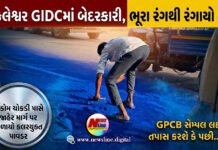 અંકલેશ્વર GIDCમાં બેદરકારી, ભૂરા રંગથી રંગાયો રોડ!