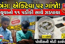 નેત્રંગમાં એક્ટિવા પર ગાંજાની 11 પડીકીઓ સાથે બે ઝડપાયા !