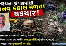 ભરૂચના જંગલમાંથી માનવ કંકાલ મળતા ચકચાર: કપડાંથી થઈ ઓળખ!