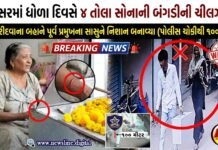 જંબુસરમાં ધોળા દિવસે ફૂલ ખરીદવાના બહાને ૪ તોલા સોનાની બંગડીની ચીલઝડપ!