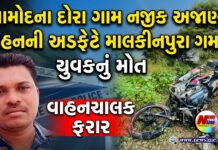 આમોદના દોરા ગામ નજીક અજાણ્યા વાહનની અડફેટે માલકીનપુરા ગામના યુવકનું મોત