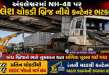 અંકલેશ્વરમાં NH-48 પર નિલેશ ચોકડી બ્રિજ નીચે કન્ટેનર ભટકાયું!