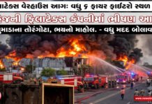 દહેજની ફિલાટેક્સ કંપનીના વેરહાઉસમાં ભીષણ આગ લાગી