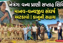 નેત્રંગમાં વન્ય પ્રાણી સપ્તાહની ઉજવણી