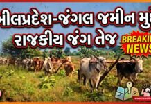 નર્મદાના રાજકારણમાં મનસુખ વસાવાનો ‘ઓલઆઉટ’ એટેક