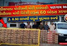 પોલીસની મોટી કાર્યવાહી: પણગામ અને સોલીયા માંથી વિદેશી દારૂનાં 60 બોક્સ ઝડપાયાં