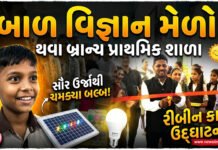 પીએમ શ્રી થવા બ્રાન્ચ પ્રાથમિક શાળામાં બાળ વૈજ્ઞાનિક પ્રદર્શન યોજાયું!