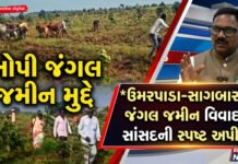 ખોપી જંગલ જમીન મુદ્દે સાંસદ પ્રભુ વસાવાનું મોટું નિવેદન!