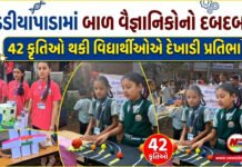ડેડીયાપાડામાં બાળ વૈજ્ઞાનિકોનો દબદબો!