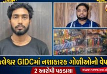 અંકલેશ્વર GIDCમાં નશાકારક ગોળીઓનો વેપલો ઝડપાયો : 2 આરોપી પકડાયા