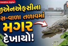ભરૂચ:વડદલાના GNFC તળાવમાં મગર!
