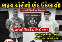 ભરૂચ: મકતમપુર નર્મદા બંગ્લોઝમાં થયેલી ચોરીનો ભેદ ઉકેલાયો, LCBએ સિકલીગર ગેંગના સાગરીતને દબોચ્યો